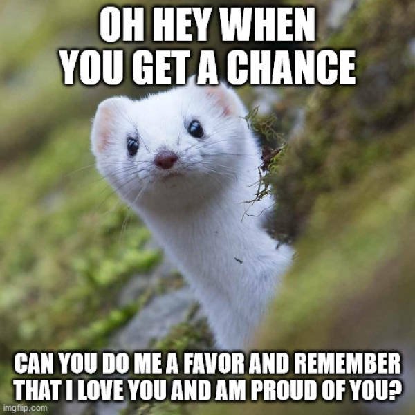 Wholesome Memes (37 pics)