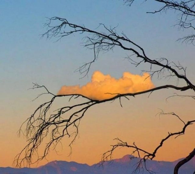 Perfection Is Possible (16 pics) Perfection Is Possible (16 pics)