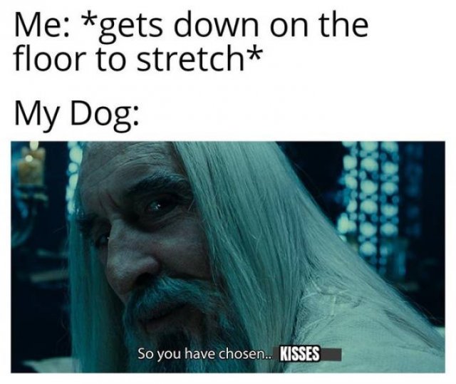 Wholesome Memes (37 pics)