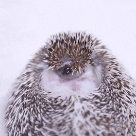 Acid Gifdump, April 3 (25 gifs)