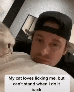 Acid Gifdump, April 3 (25 gifs)