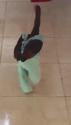 Acid Gifdump, April 3 (25 gifs)