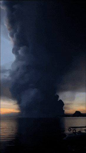 Acid Gifdump, April 3 (25 gifs)