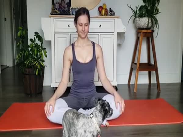Yoga At Home