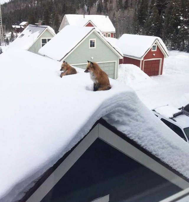 Great Sudden Discoveries (18 pics) Great Sudden Discoveries (18 pics)