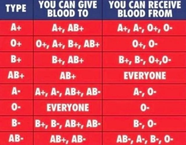 Interesting Graphs (26 pics)