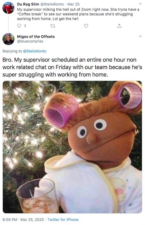 Working From Home Tweets (30 pics)