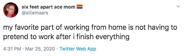 Working From Home Tweets (30 pics)