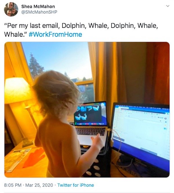 Working From Home Tweets (30 pics)