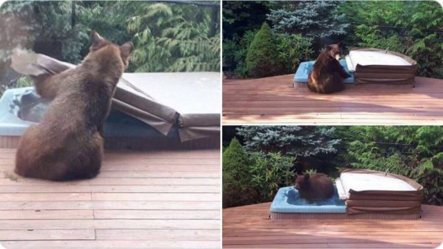 Acid Picdump. Part 1 (95 pics)