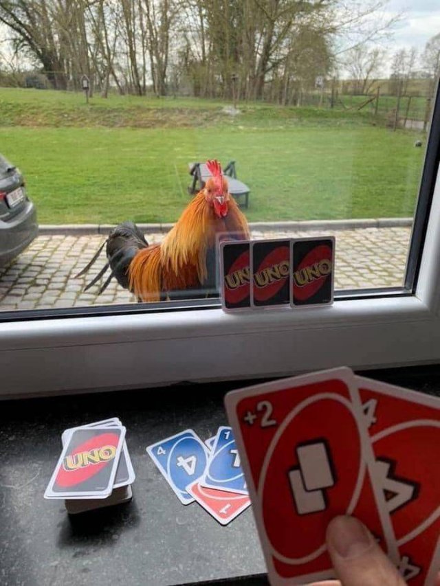 Acid Picdump. Part 1 (95 pics)