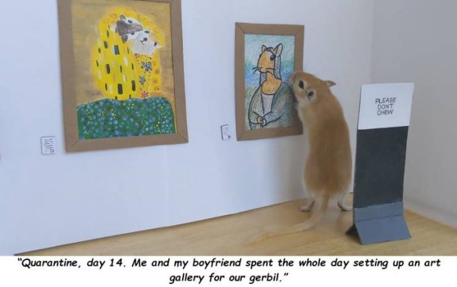 Acid Picdump. Part 1 (95 pics)