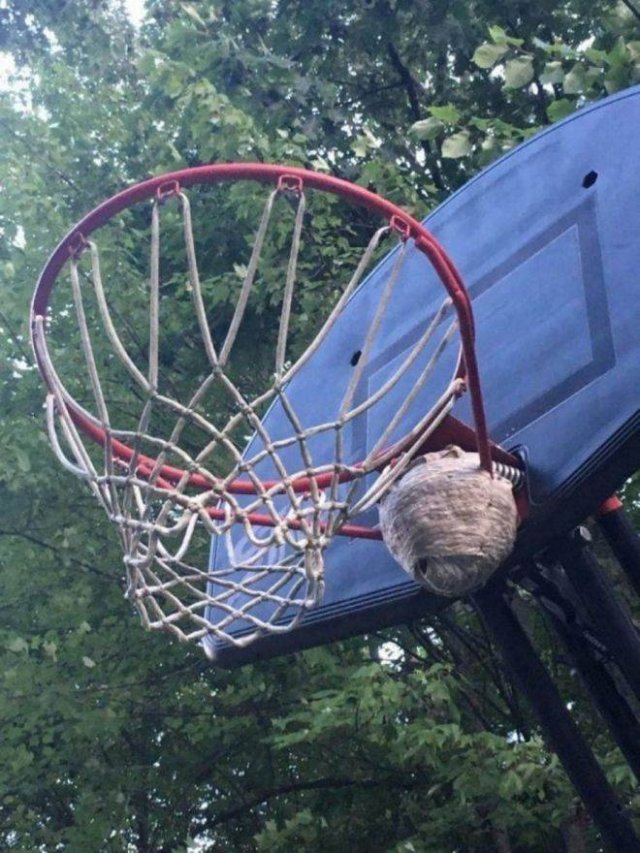 Acid Picdump. Part 1 (95 pics)