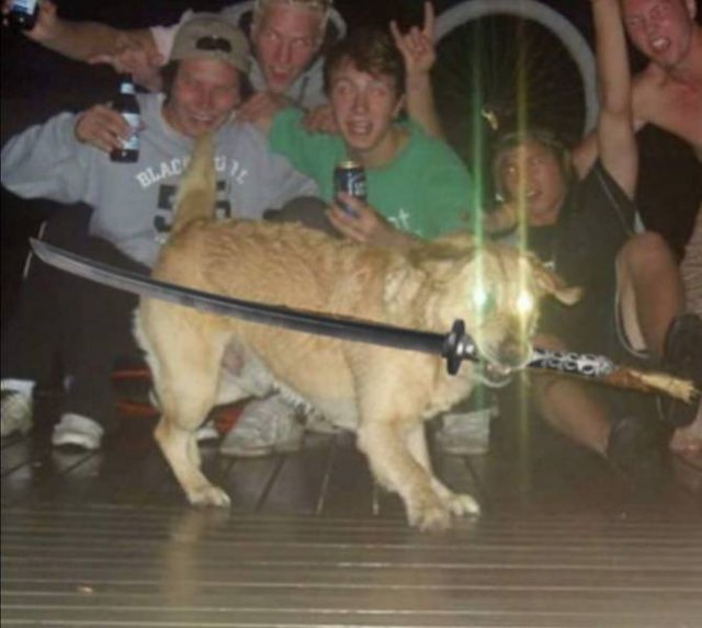 Acid Picdump. Part 1 (95 pics)
