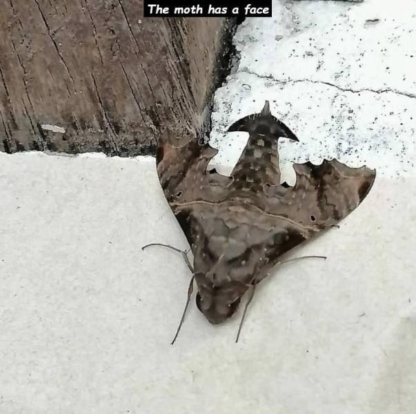 Acid Picdump. Part 1 (95 pics)