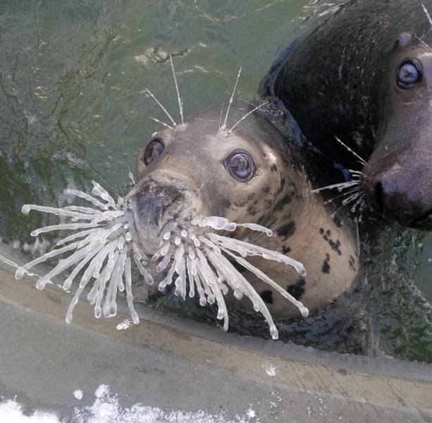 Acid Picdump. Part 1 (95 pics)