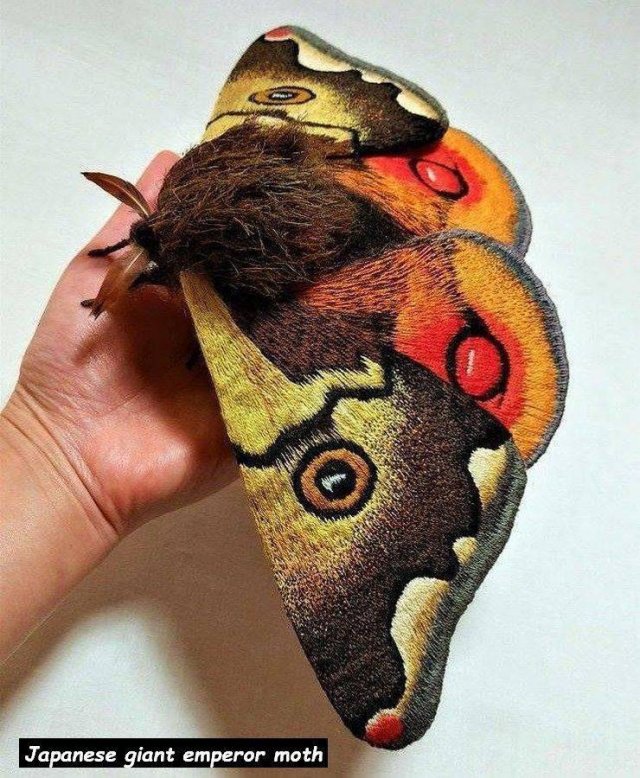 Acid Picdump. Part 1 (95 pics)