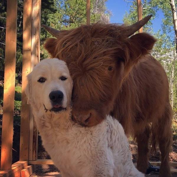 Acid Picdump. Part 1 (95 pics)