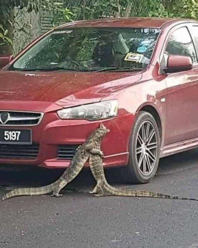 Acid Picdump. Part 1 (95 pics)