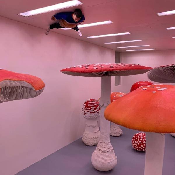 Acid Picdump. Part 1 (95 pics)