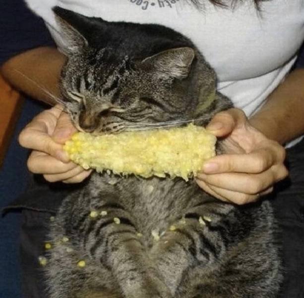 Acid Picdump. Part 1 (95 pics)