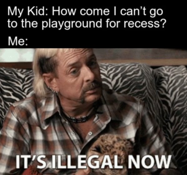 Homeschooling Memes (29 pics)