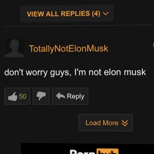 Pornhub Comments (31 pics)