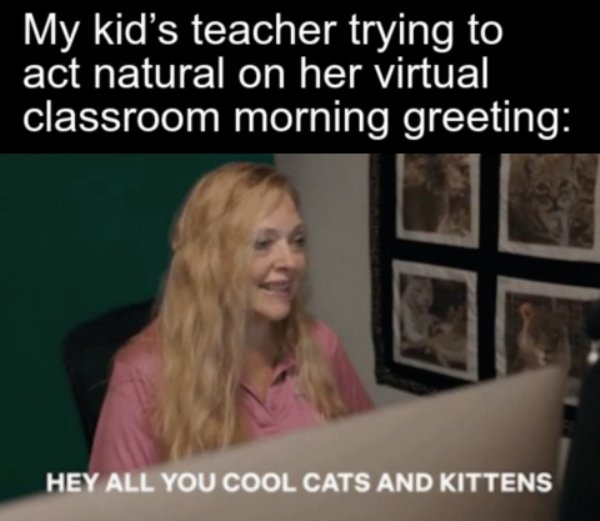 Homeschooling Memes (29 pics)