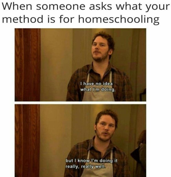 Homeschooling Memes (29 pics)