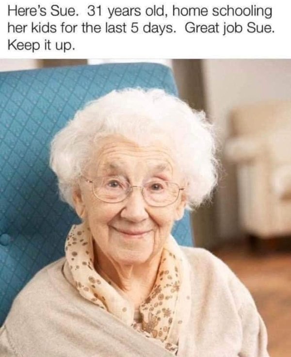 Homeschooling Memes (29 pics)