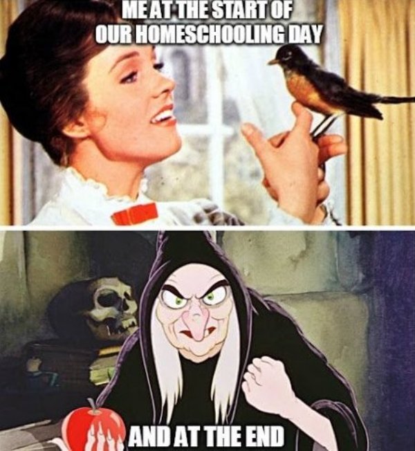 Homeschooling Memes (29 pics)