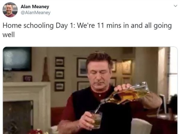 Homeschooling Memes (29 pics)
