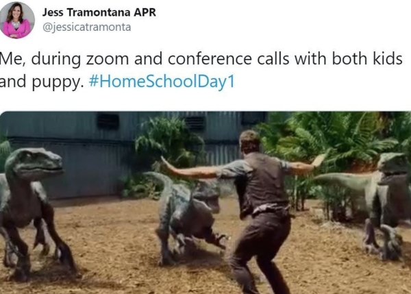 Homeschooling Memes (29 pics)