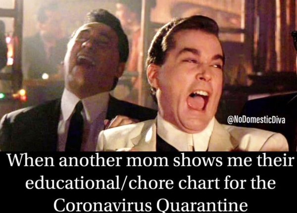 Homeschooling Memes (29 pics)