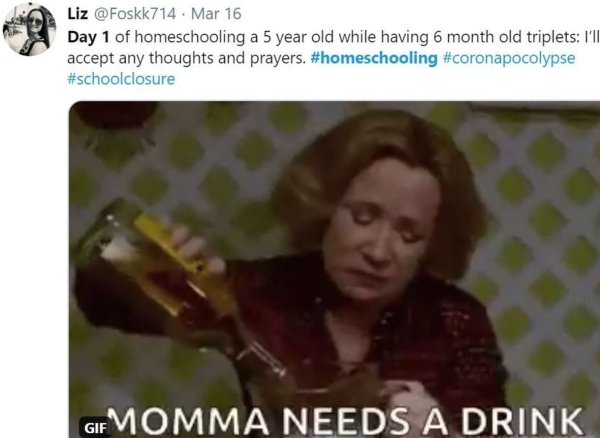 Homeschooling Memes (29 pics)