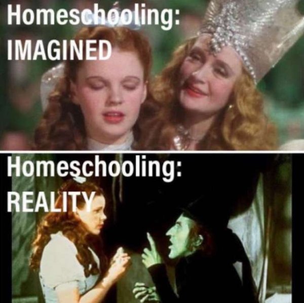 Homeschooling Memes (29 pics)