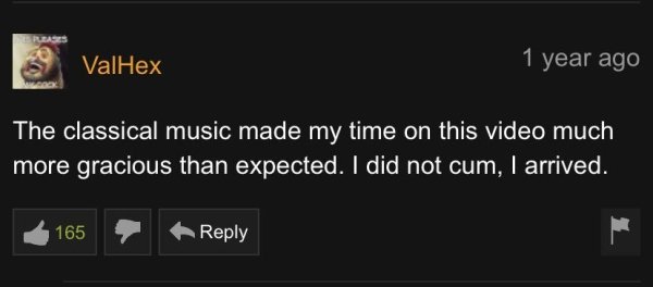 Pornhub Comments (31 pics)
