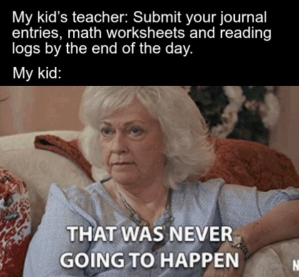 Homeschooling Memes (29 pics)