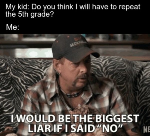 Homeschooling Memes (29 pics)