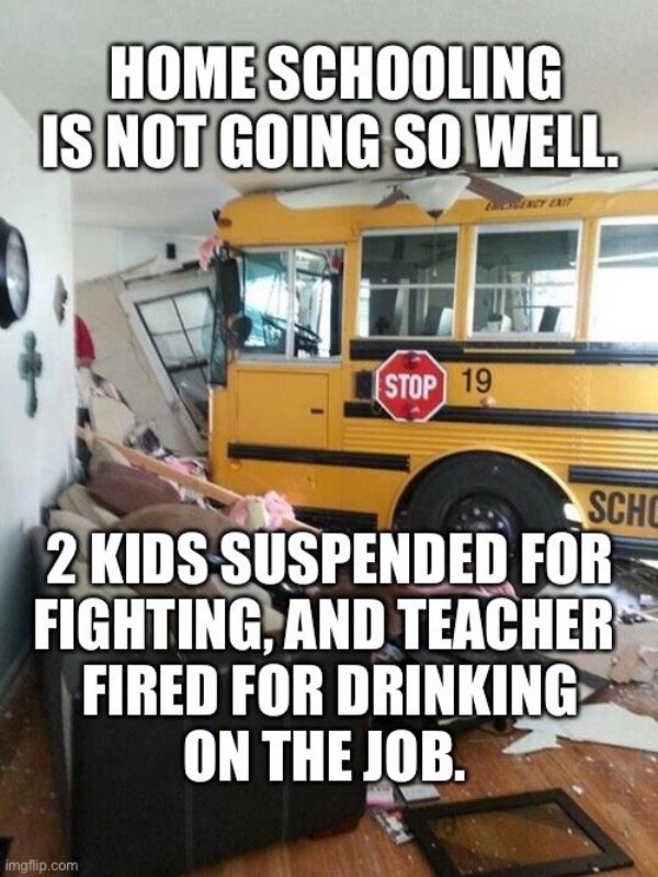Homeschooling Memes (29 pics)