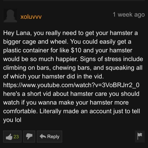 Pornhub Comments (31 pics)