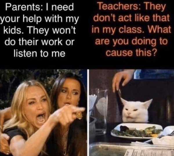 Homeschooling Memes (29 pics)