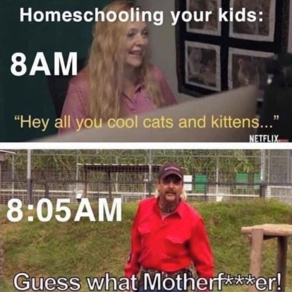 Homeschooling Memes (29 pics)