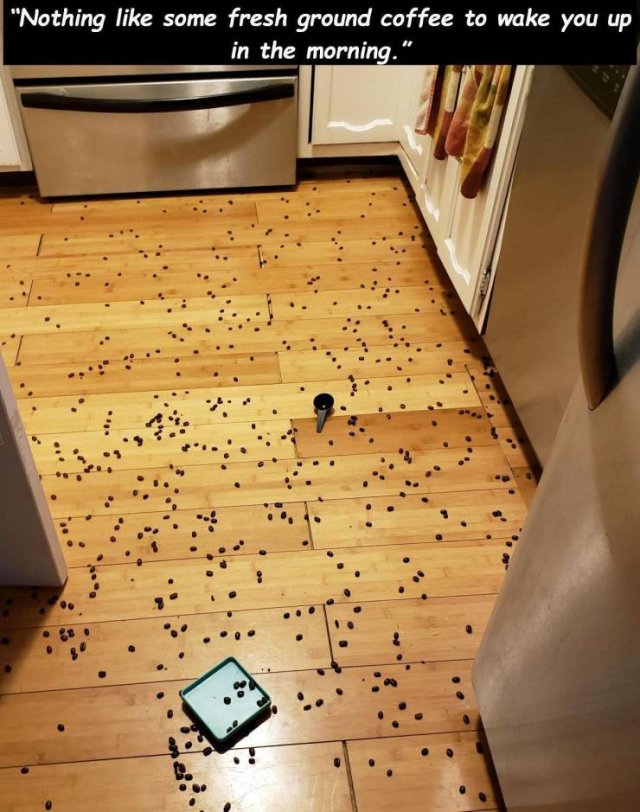Bad Days Happen (51 pics)