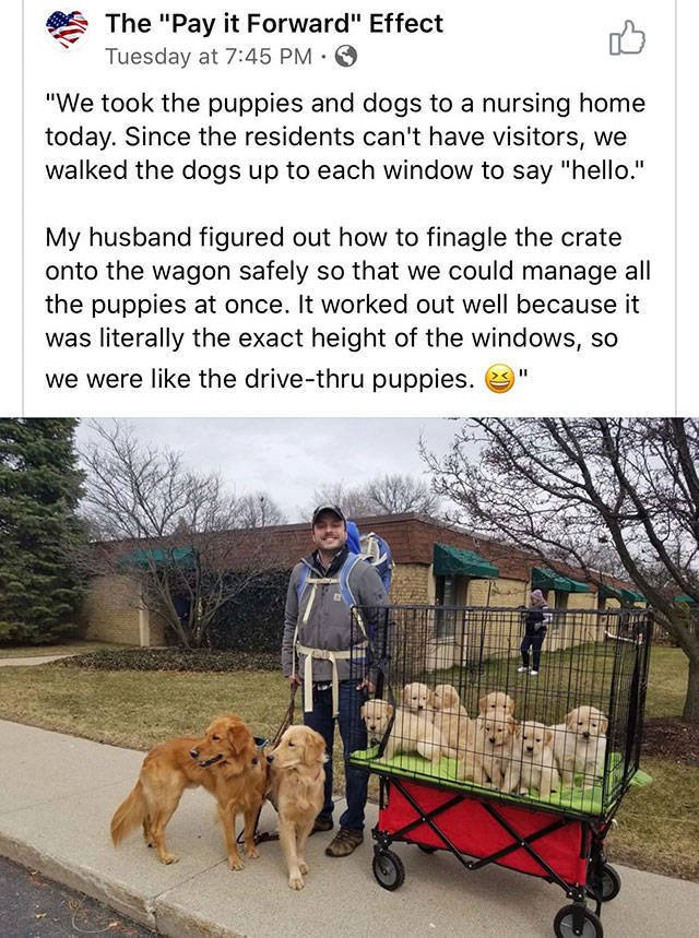 Positive Pictures (48 pics)
