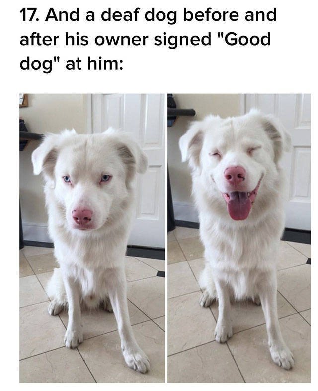 Positive Pictures (48 pics)