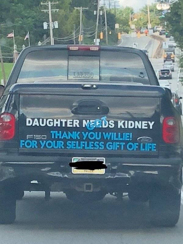 Positive Pictures (48 pics)