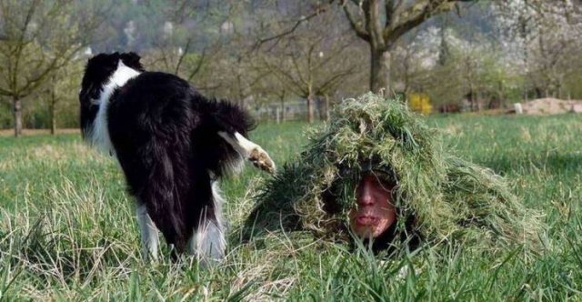 Bad Days Happen (51 pics)