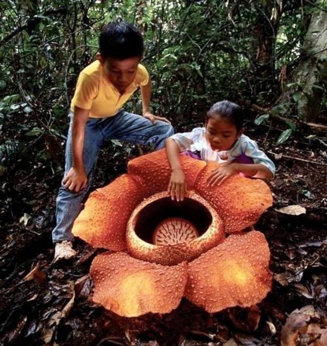 Amazing Photos (17 pics)