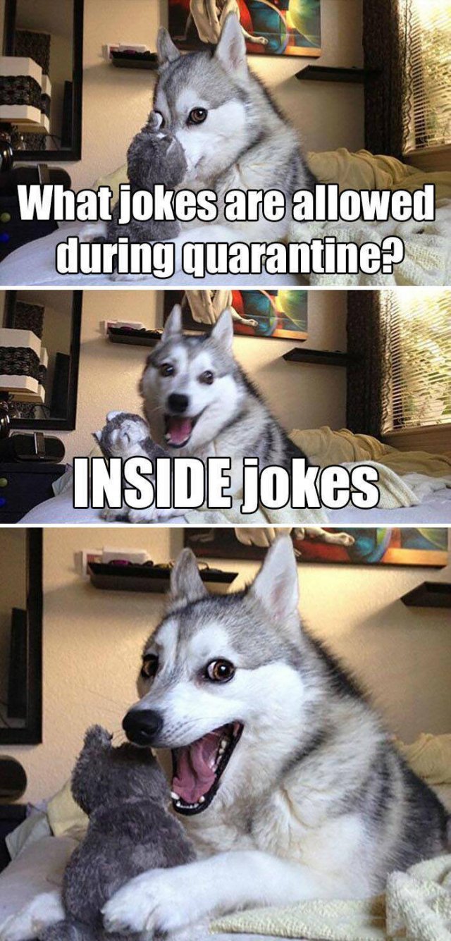 Quarantine Memes (40 pics)